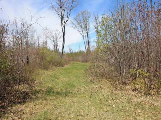 19081 Erickson Drive Dunbar, WI 54119 - Photo 29 of 87