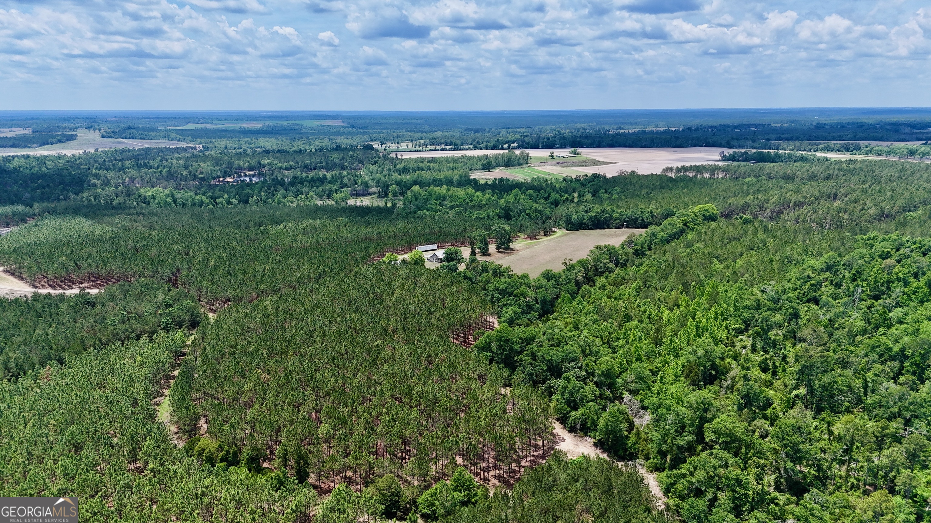 0 Neily Wagon Road McRae-Helena, GA 31055 - Photo 1 of 27 a view of a lush green space with a lake in the background