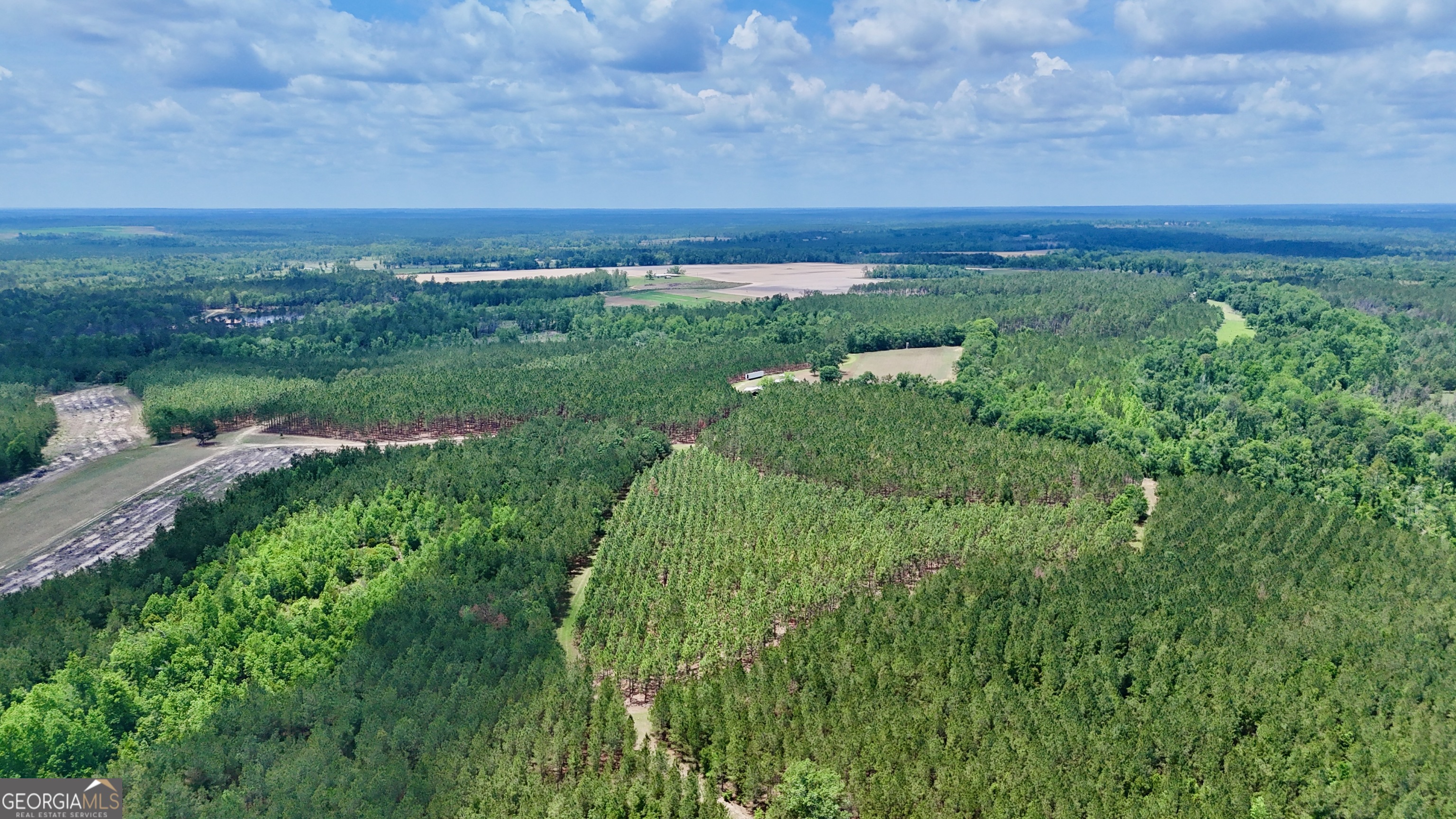 0 Neily Wagon Road McRae-Helena, GA 31055 - Photo 11 of 27 a view of a field with an ocean