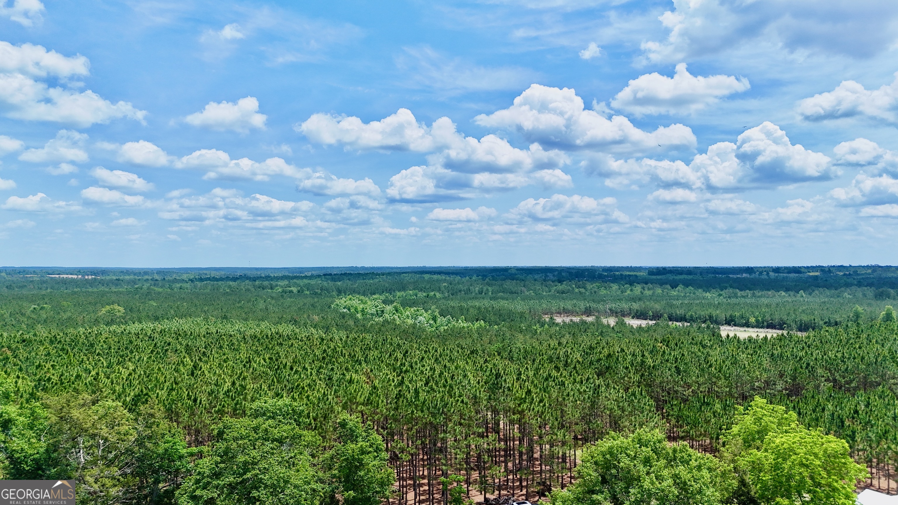0 Neily Wagon Road McRae-Helena, GA 31055 - Photo 12 of 27 a view of a city with lots of green space
