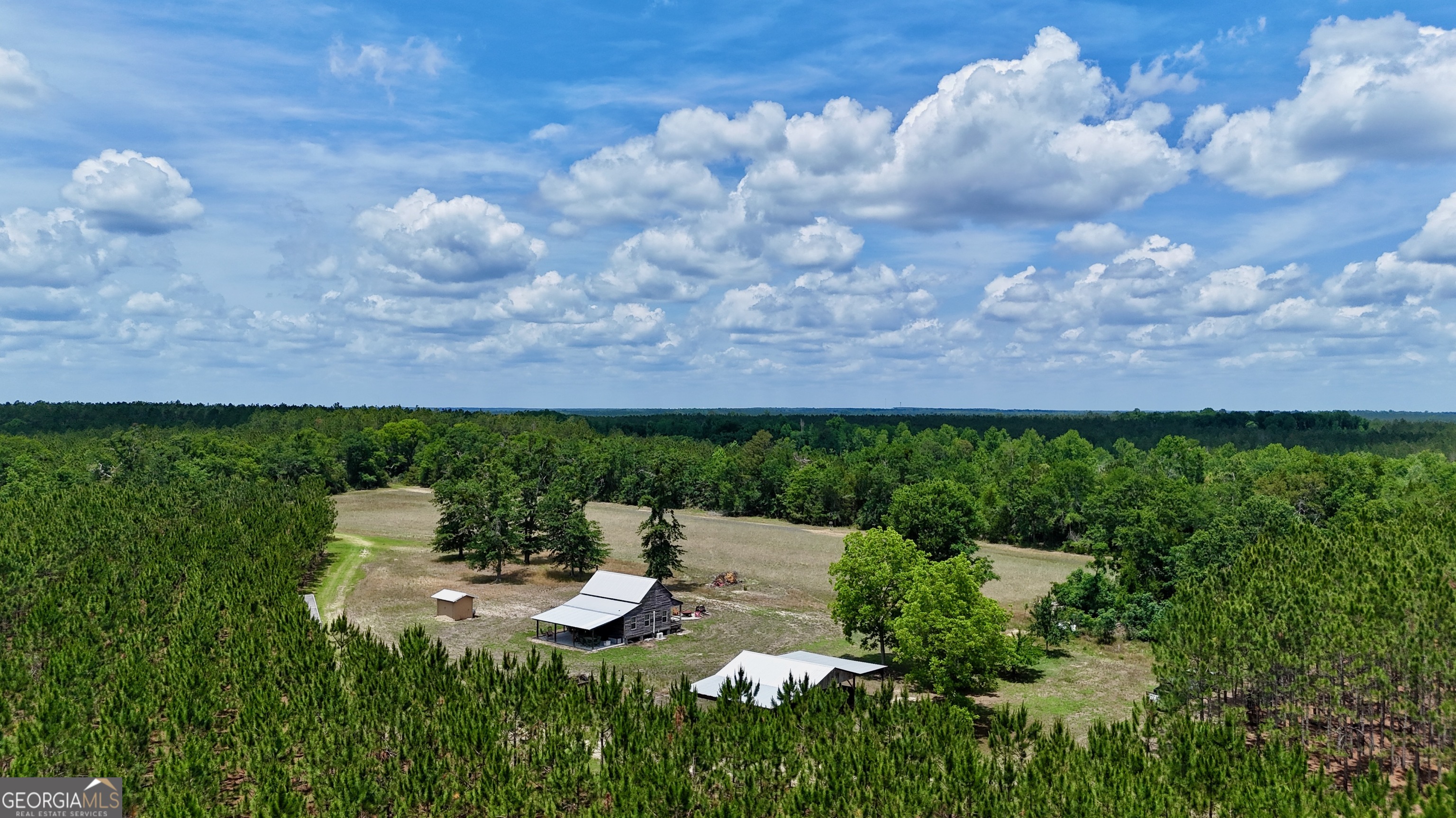 0 Neily Wagon Road McRae-Helena, GA 31055 - Photo 2 of 27 a view of yard with green space