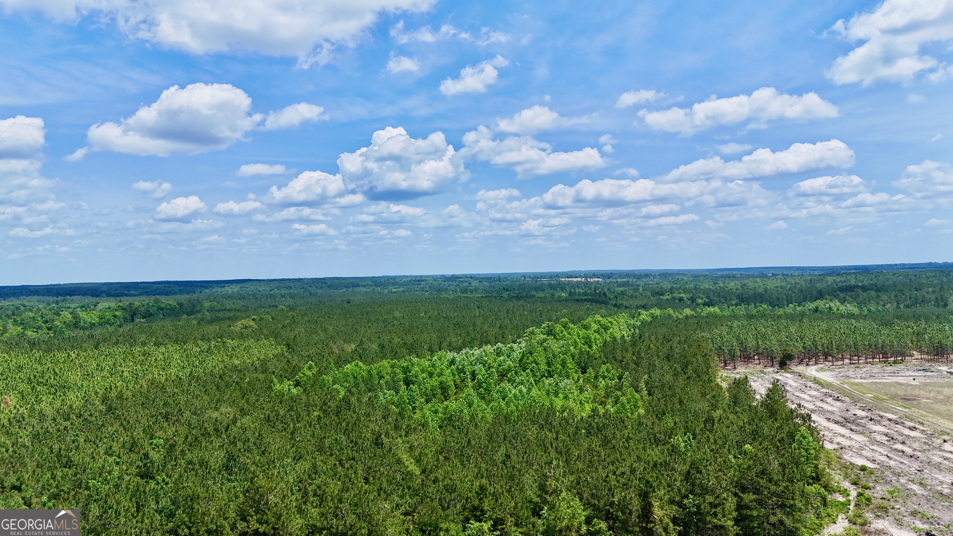 0 Neily Wagon Road McRae-Helena, GA 31055 - Photo 9 of 27 a view of a city with lush green forest