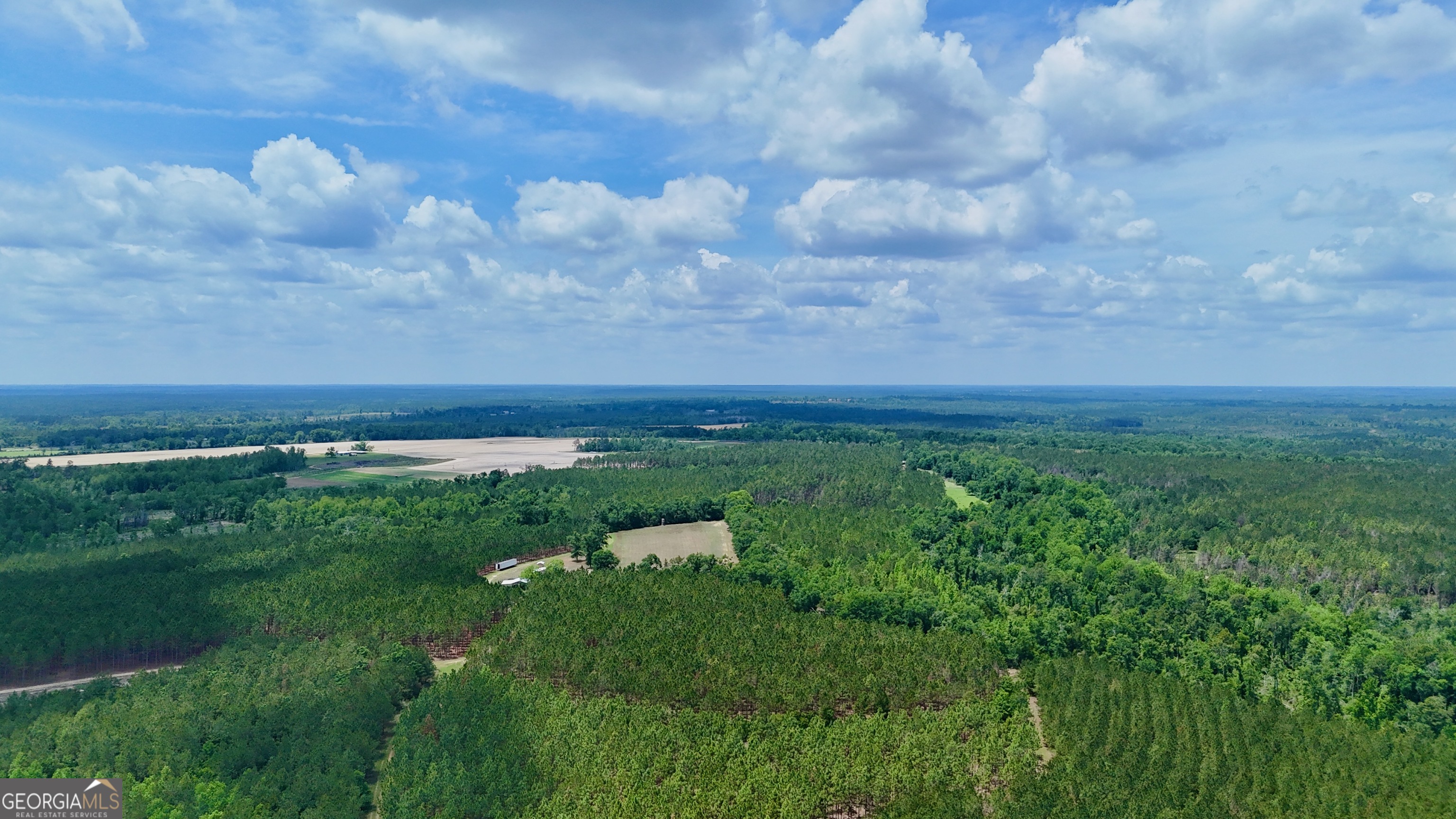 0 Neily Wagon Road McRae-Helena, GA 31055 - Photo 10 of 27 a view of a big yard with large trees
