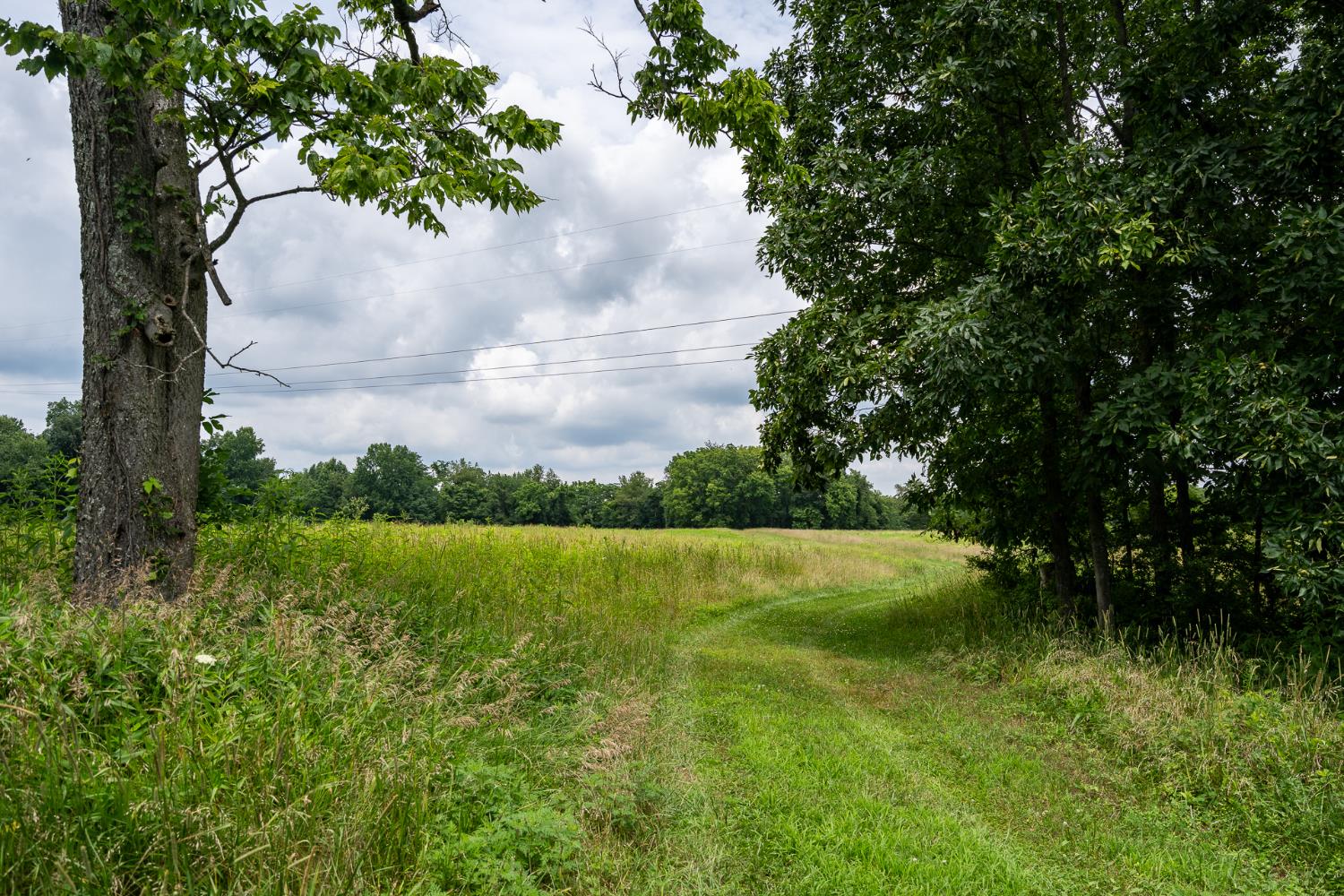 11315 Harlow Road West Bennington, IN 47011 - Photo 50 of 50