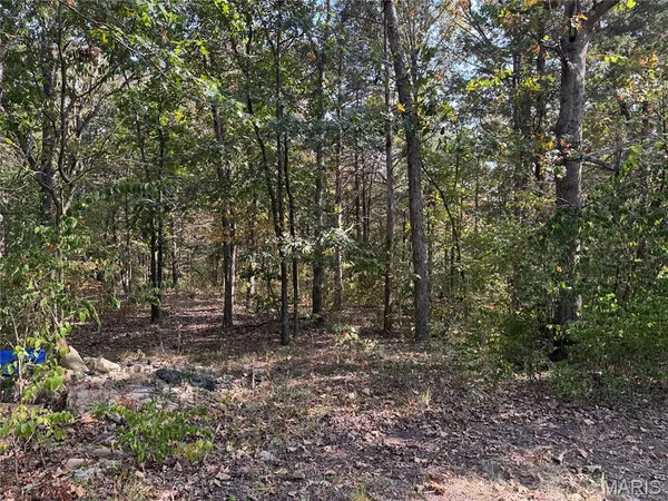 $165,000 | 11679 Highway 21, Hillsboro, MO 63050