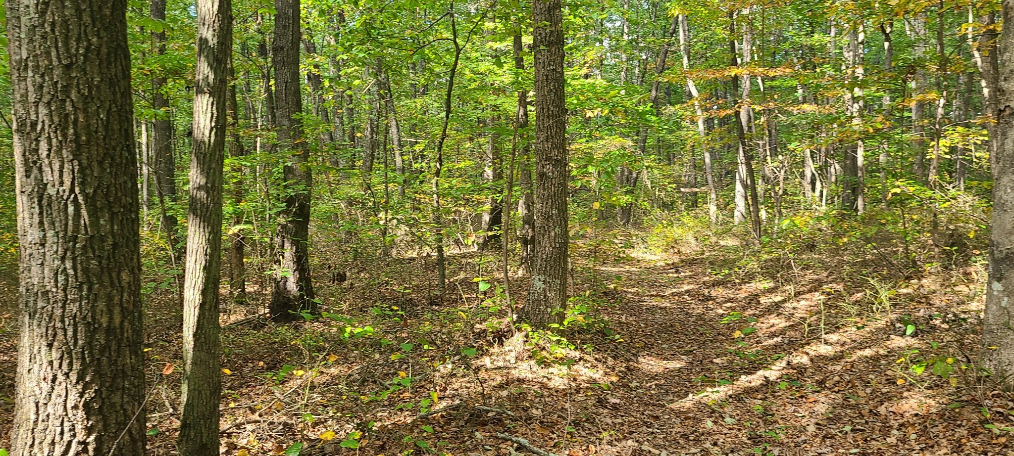 0 Rutledge Street Tracy City, TN 37387 - Photo 15 of 22 a bathroom with a window