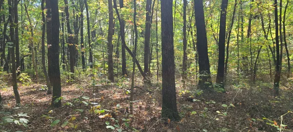 $149,900 | 0 Rutledge Street, Tracy City, TN 37387