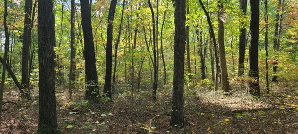 $149,900 | 0 Rutledge Street, Tracy City, TN 37387