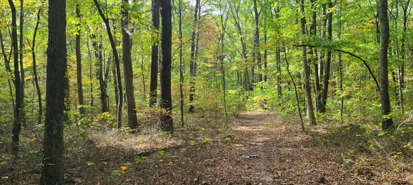 $149,900 | 0 Rutledge Street, Tracy City, TN 37387