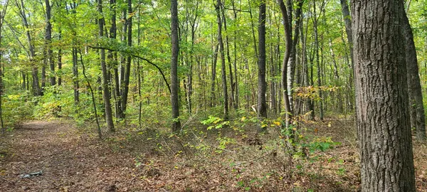 $149,900 | 0 Rutledge Street, Tracy City, TN 37387