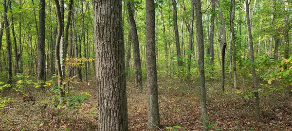 $149,900 | 0 Rutledge Street, Tracy City, TN 37387