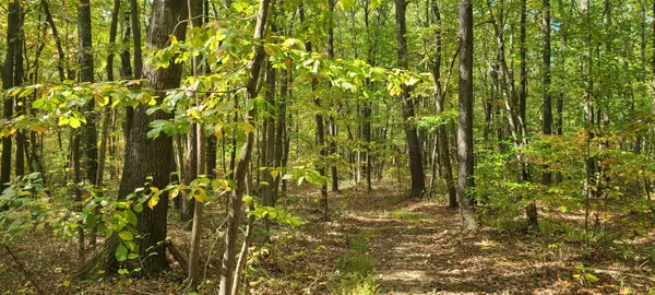 a bathroom with a window