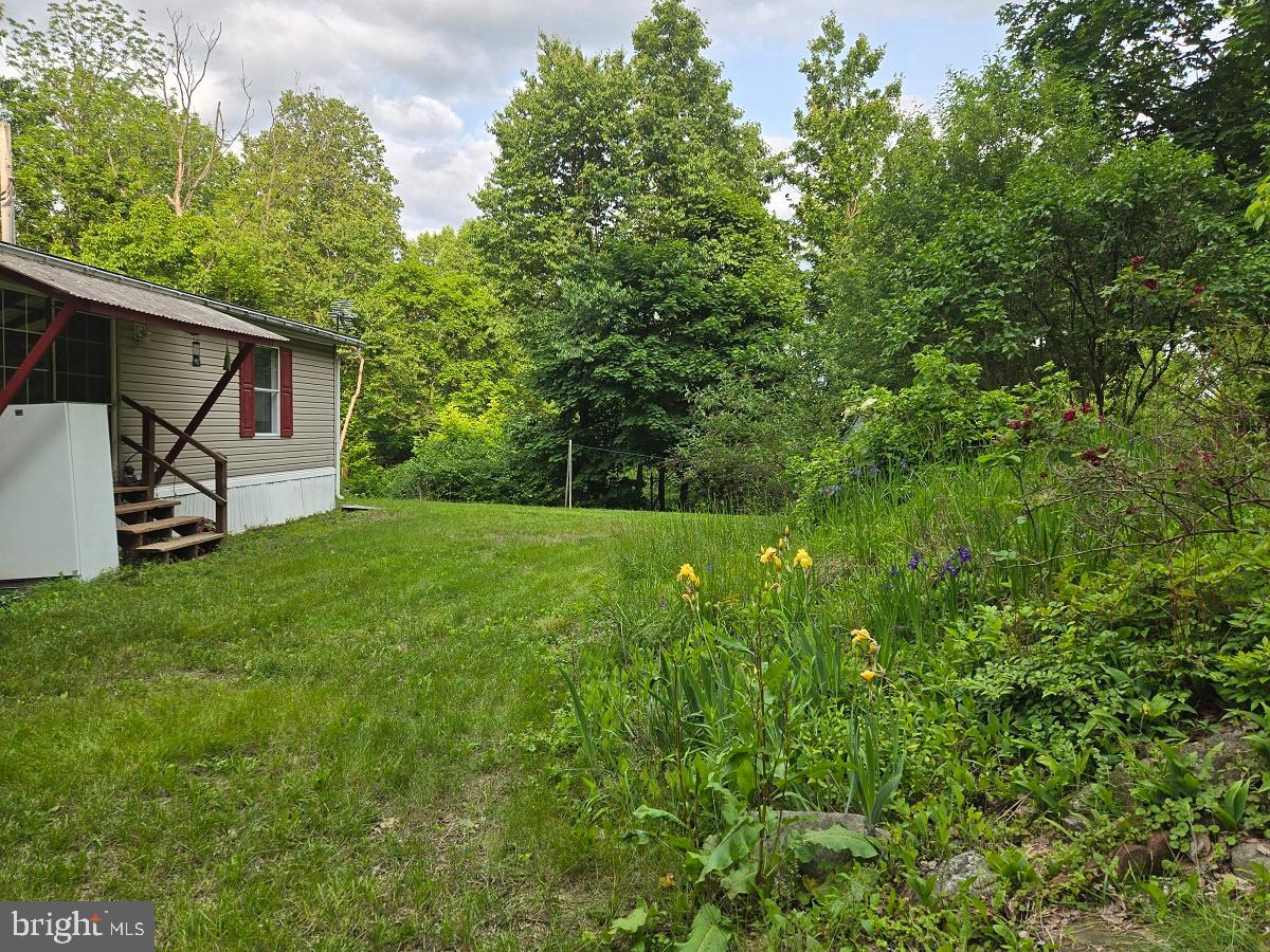 76 Powerline Road Boyertown, PA 19512 - Photo 3 of 24 Back Yard