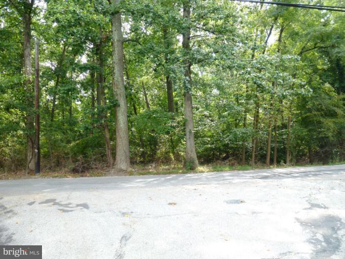 2206 Briggs Road Silver Spring, MD 20906 - Photo 4 of 5 View