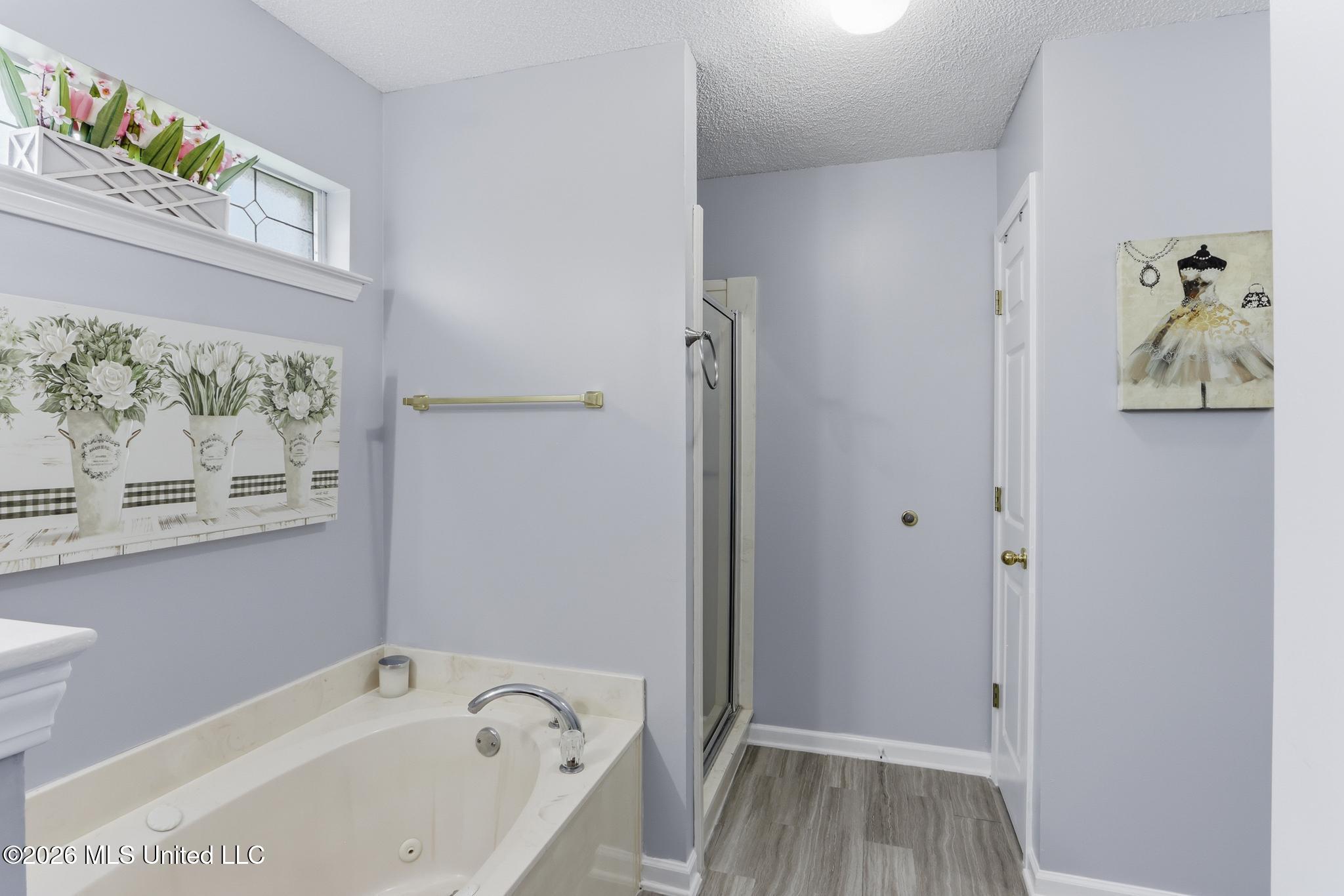 6289 Sandbourne West Olive Branch, MS 38654 - Photo 24 of 43 6289SandbourneEast_25