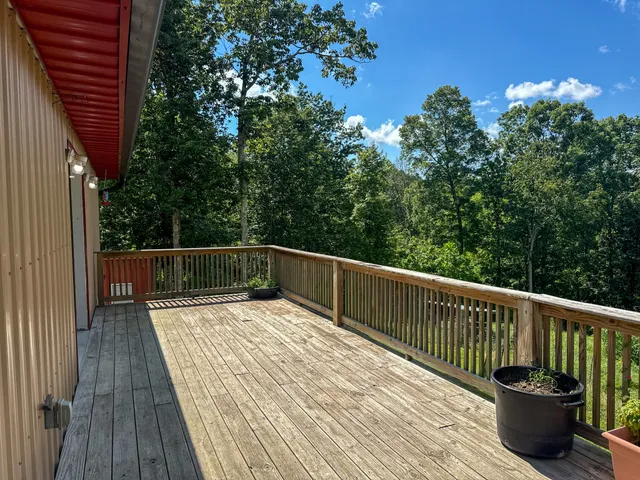 a view of a backyard with a small cabin