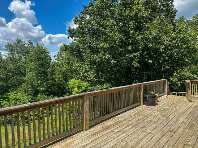 a view of a park with large trees
