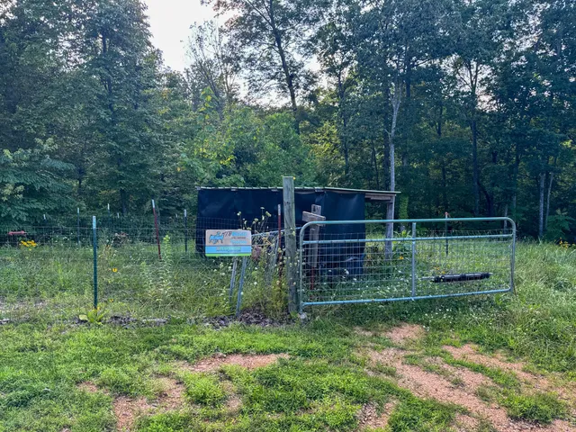 an outdoor sitting area with chairs and wooden fence