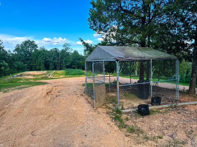 a view of a yard with plants and a small yard