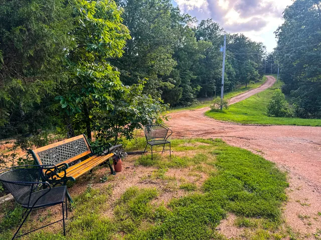 a view of a swimming pool with a yard and large trees
