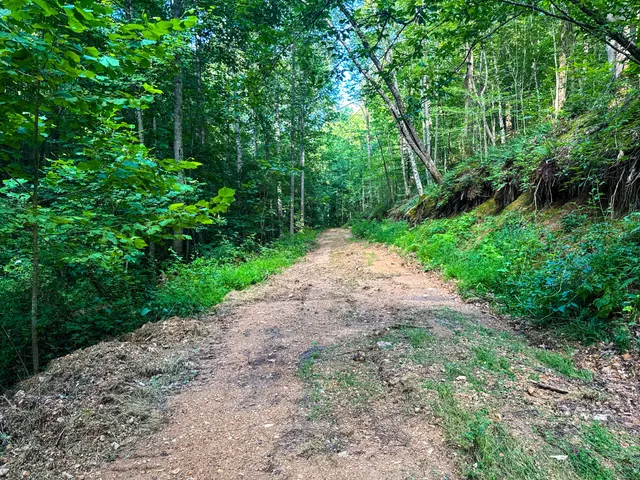 a view of outdoor space and yard