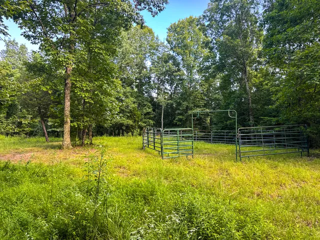 a view of water with a large trees