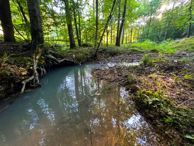 a view of a lake view