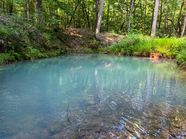 $849,000 | 2017 Airport Ridge Road, Linden, TN 37096