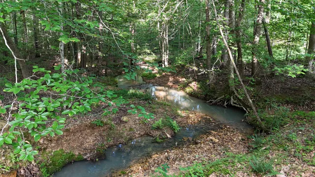 $849,000 | 2017 Airport Ridge Road, Linden, TN 37096