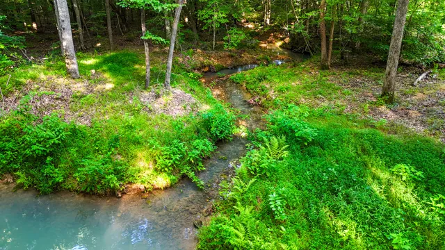 $849,000 | 2017 Airport Ridge Road, Linden, TN 37096