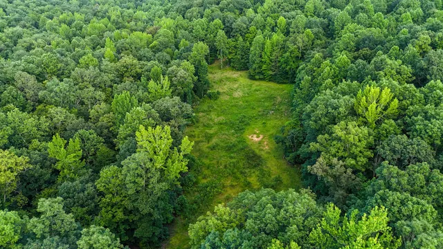 $849,000 | 2017 Airport Ridge Road, Linden, TN 37096