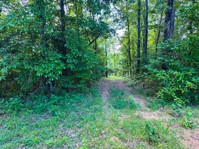 $849,000 | 2017 Airport Ridge Road, Linden, TN 37096