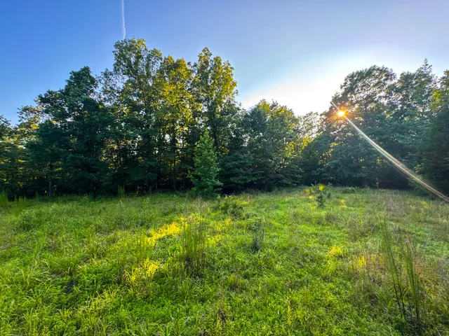 $849,000 | 2017 Airport Ridge Road, Linden, TN 37096