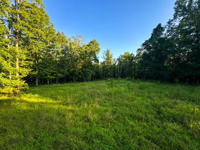 $849,000 | 2017 Airport Ridge Road, Linden, TN 37096