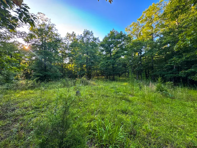 $849,000 | 2017 Airport Ridge Road, Linden, TN 37096