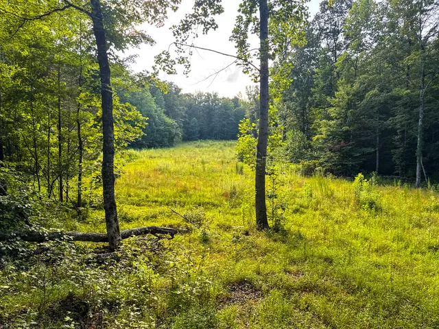 $849,000 | 2017 Airport Ridge Road, Linden, TN 37096