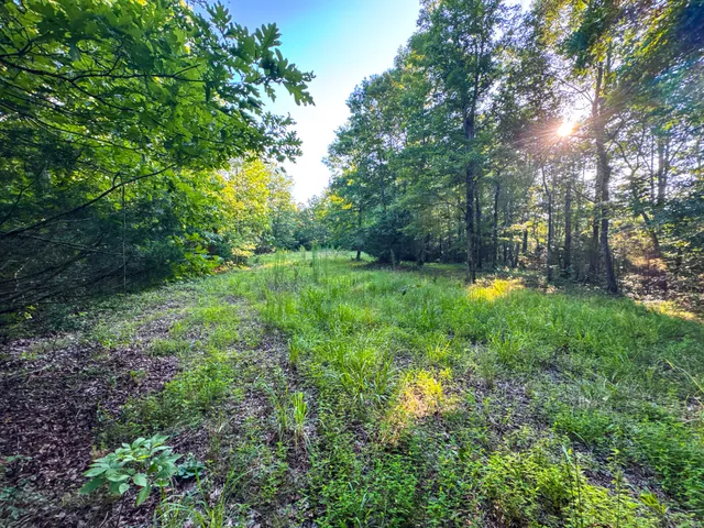 $849,000 | 2017 Airport Ridge Road, Linden, TN 37096