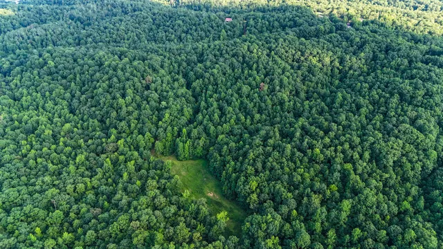 a view of a kitchen with a refrigerator and a sink