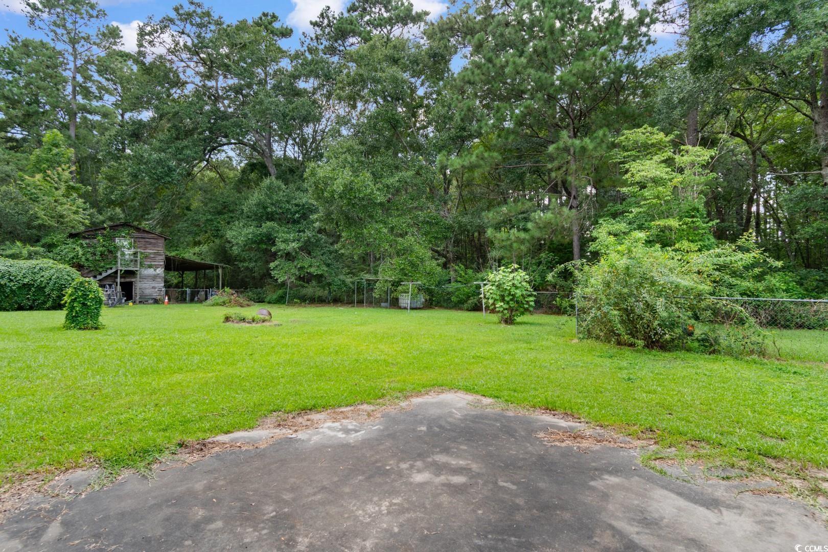 405 Thompson Road Hemingway, SC 29554 - Photo 34 of 39