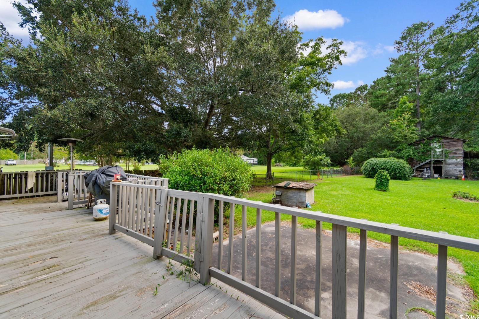 405 Thompson Road Hemingway, SC 29554 - Photo 35 of 39