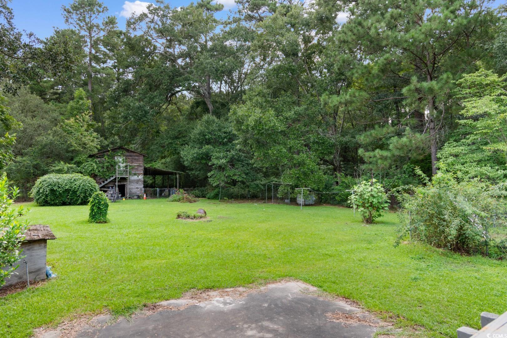 405 Thompson Road Hemingway, SC 29554 - Photo 36 of 39