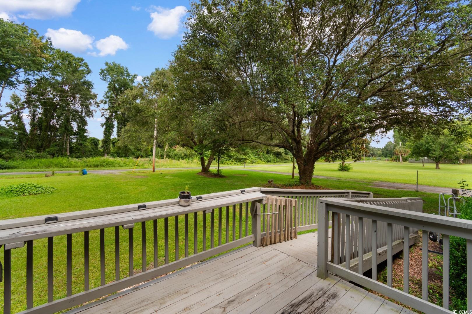 405 Thompson Road Hemingway, SC 29554 - Photo 37 of 39