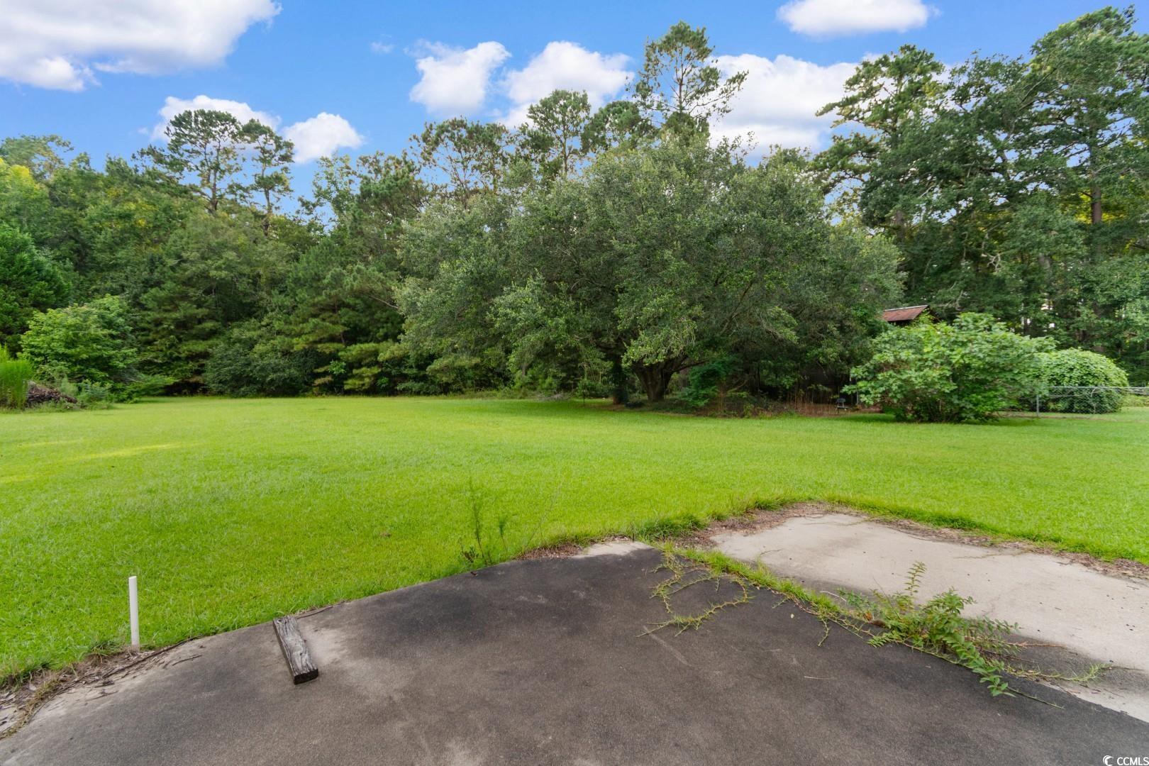 405 Thompson Road Hemingway, SC 29554 - Photo 38 of 39