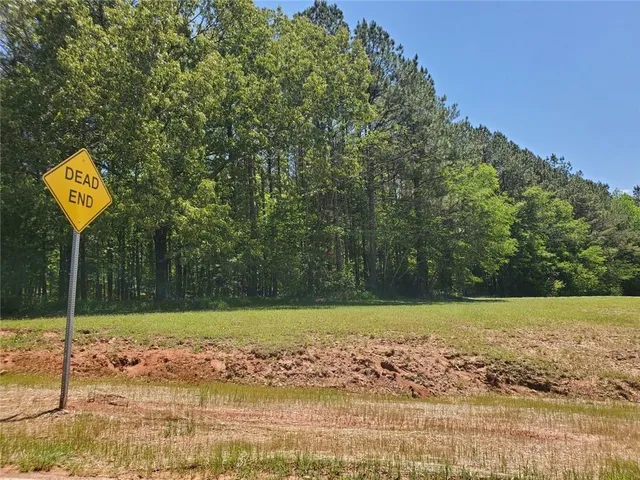 a view of a street with a tree in the background