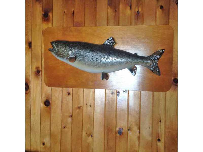 311 West Shore Road Ellsworth, ME 04605 - Photo 4 of 18 Other. Check out this 19lb 4oz Lake...