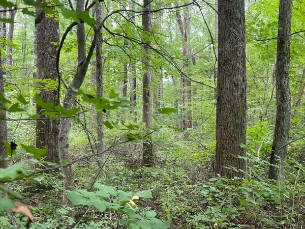 $273,900 | 7100 South 225 West Street, Madison, IN 47250