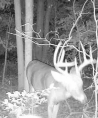 $273,900 | 7100 South 225 West Street, Madison, IN 47250