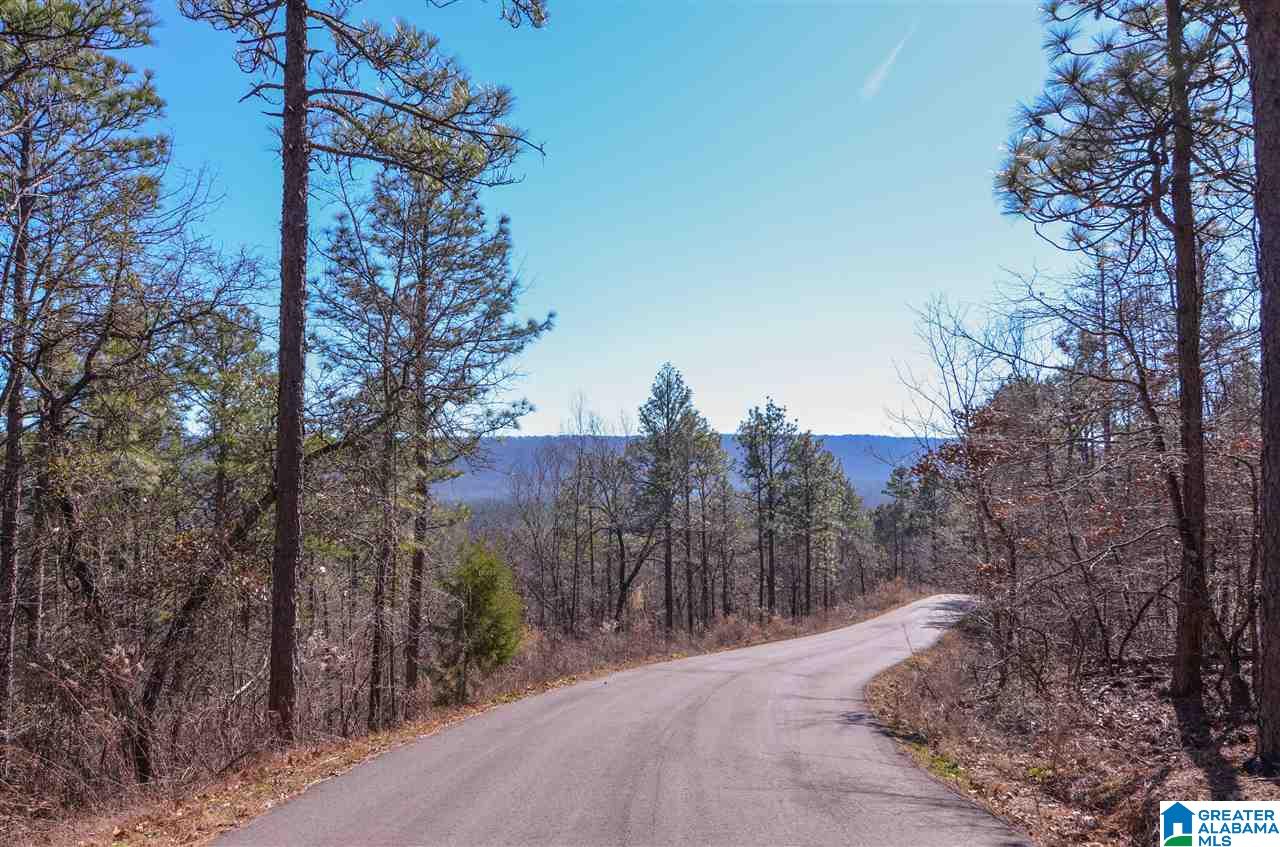 0 Springstone Trail, Unit 6 Leeds, AL 35094 - Photo 5 of 7