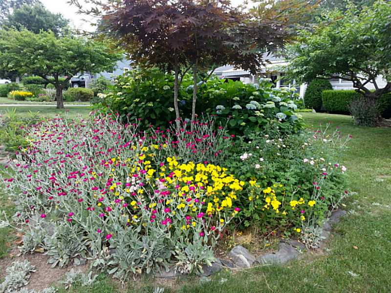 56 Boiling Spring Avenue Westerly, RI 02891 - Photo 25 of 25 Yard/Garden.