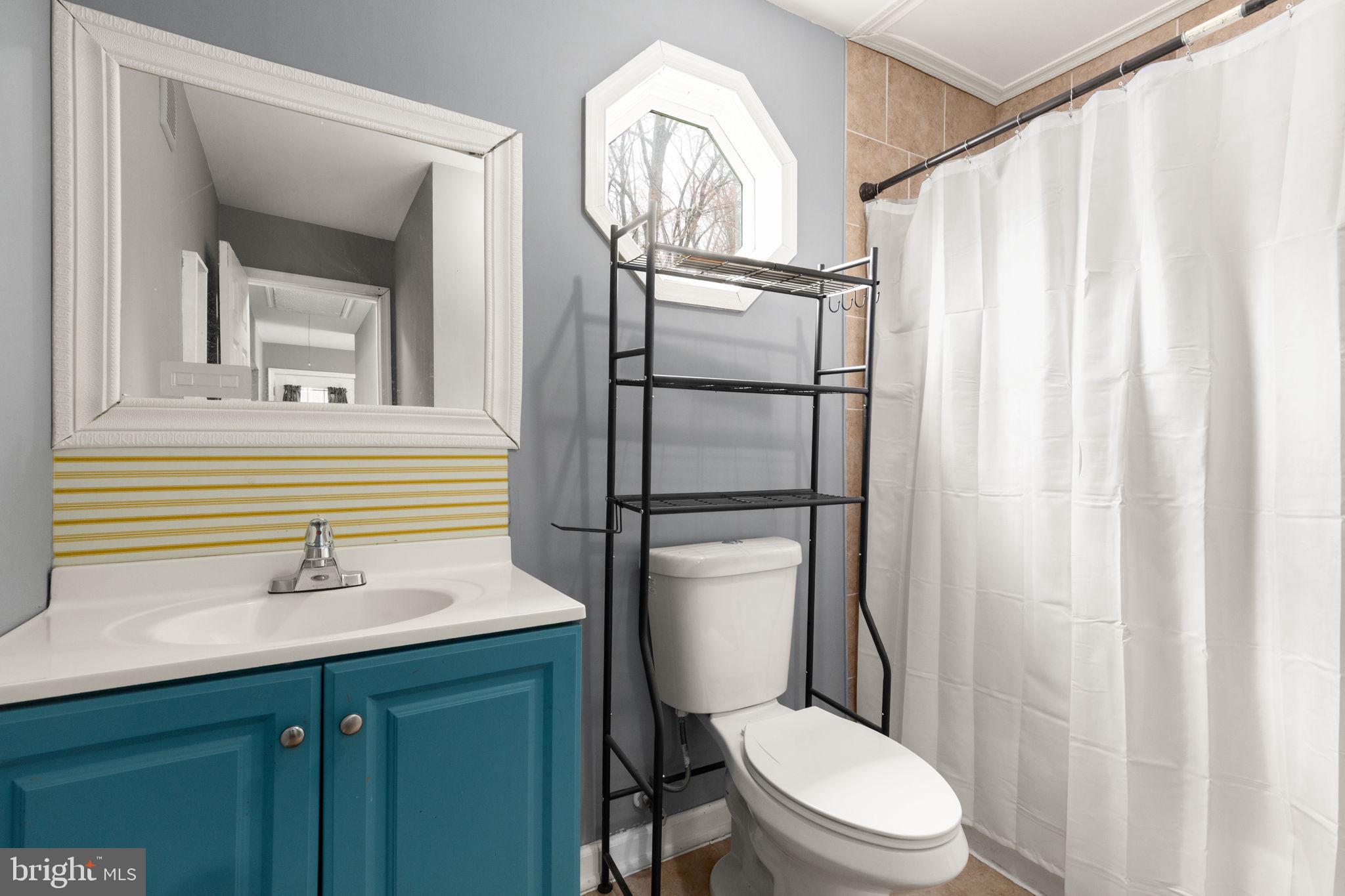 4121 Conowingo Road Darlington, MD 21034 - Photo 17 of 24 a bathroom with a toilet a sink and a mirror